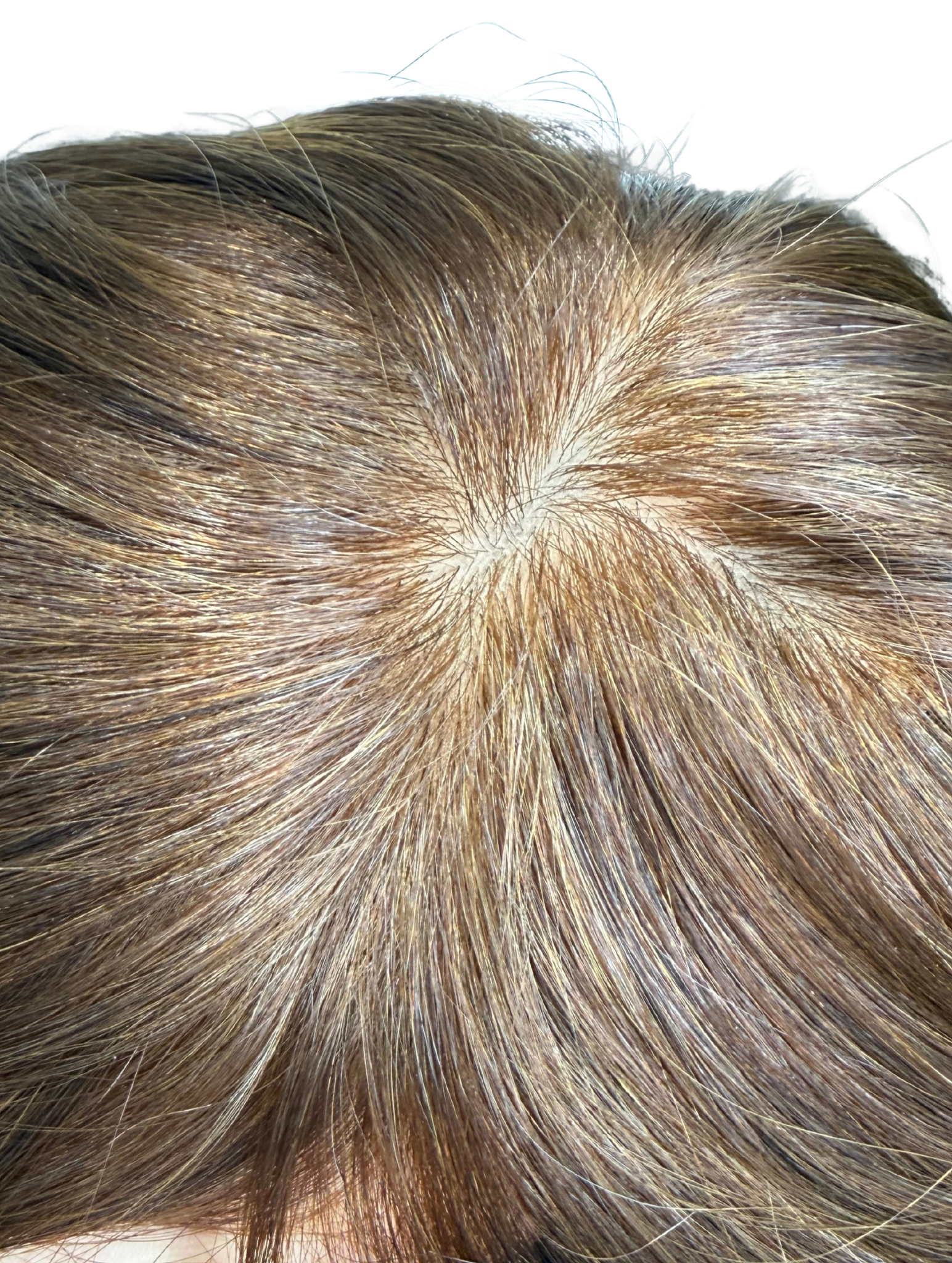 Wig Human 24" #5